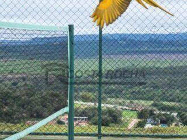 Terreno à venda, 432 m² por R$ 170.000,00 Ninho verde 2 Pardinho/SP