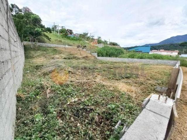 Terreno à venda, 452 m² por R$ 429.000,00 Massaguaçu Caraguatatuba/SP
