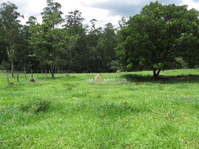 Terreno à venda, 4600 m² por R$ 495.000,00 Horto Ivan Atibaia/SP
