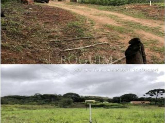 Terreno à venda 4700m com riacho no terreno a 7km de Andrelândia MG