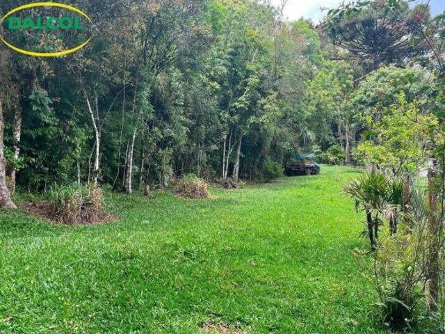 Terreno à venda, 49423 m² por R$ 650.000,00 Area Rural São José dos Pinhais/PR