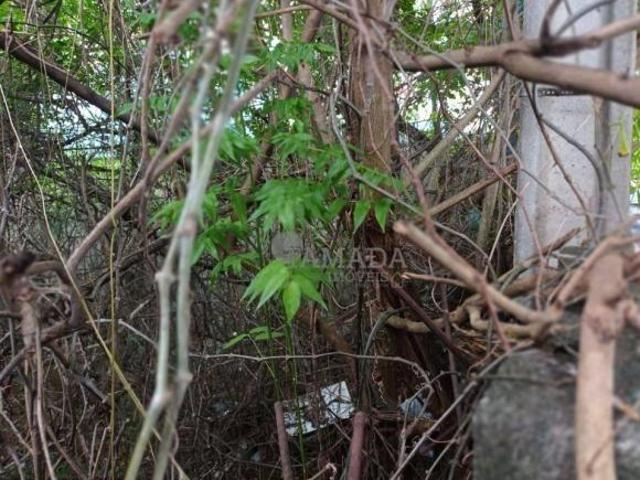 Terreno à venda, 490 m² por R$ 1.290.000,00 Penha de França São Paulo/SP