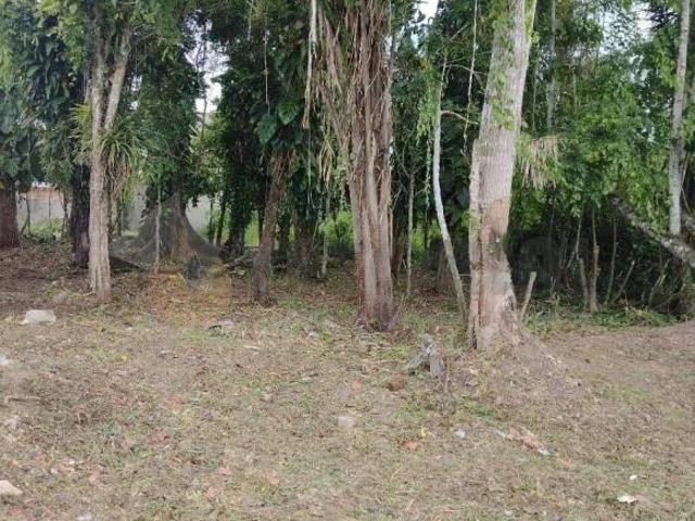 Terreno à venda, 490 m² por R$ 350.000,00 Jardim das Gaivotas Caraguatatuba/SP