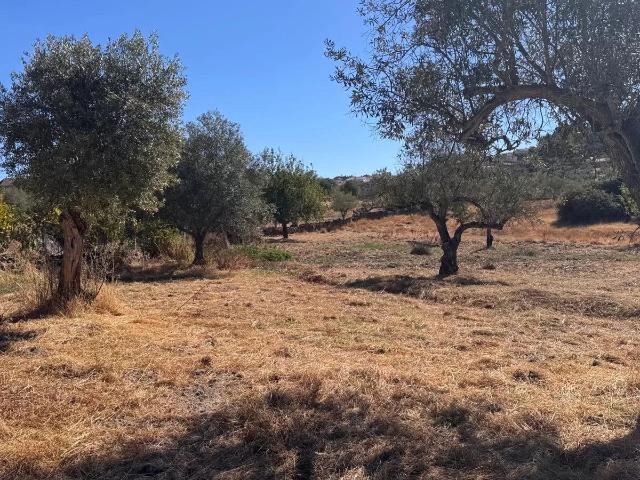 Terreno à venda – 4.360 m² em Aranhas, Penamacor