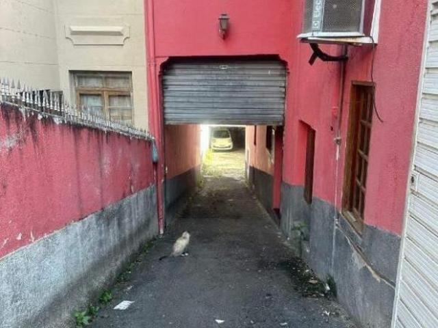 Terreno à venda 4 quartos 6 vagas Cambuci São Paulo SP