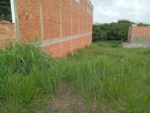 Terreno à venda, 505 m² por R$ 350.000,00 Jardim dos Pinheiros Americana/SP