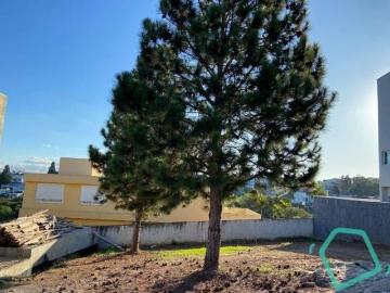 Terreno à venda, 508 m² por R$ 1.526.000,00 Granja Viana Carapicuíba/SP