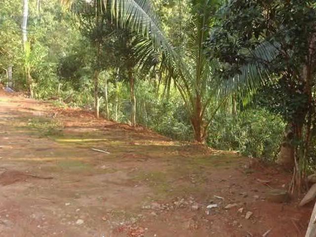 Terreno à venda, 508 m² por R$ 700.000 Senzala Ilhabela/SP