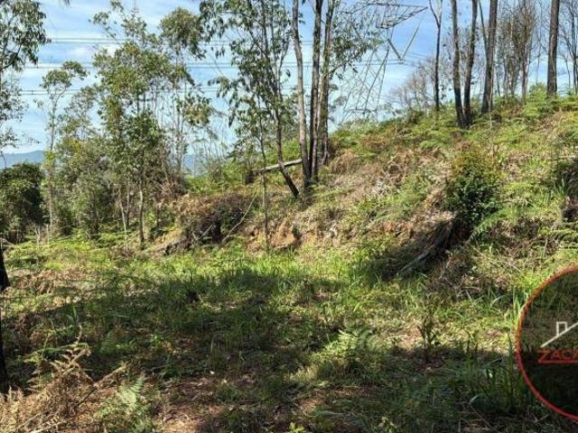 Terreno à venda, 5000 m² por R$ 290.000 Estância Angelina Suzano/SP
