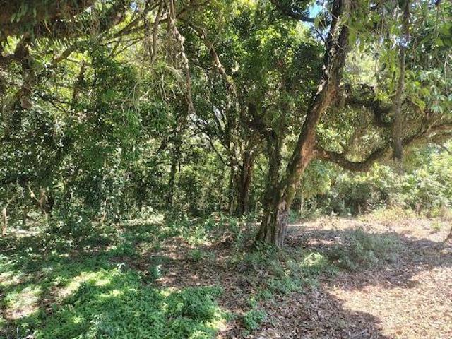 Terreno à venda, 500 m² por R$ 150.000,00 Campo do Meio Conceição dos Ouros/MG