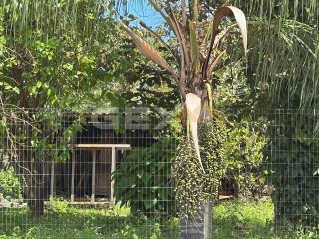 Terreno à Venda 500m² no Bairro Santo Antônio dos Campos