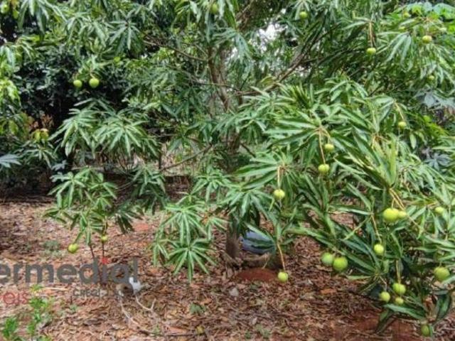 Terreno à Venda – 501 m² – Bairro Água Branca em Boituva/SP