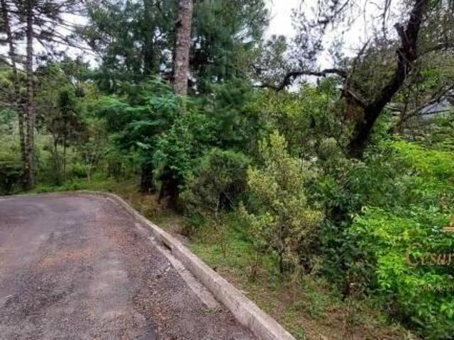 Terreno à venda, 5170 m² por R$ 350.000,00 Descansópolis Campos do Jordão/SP