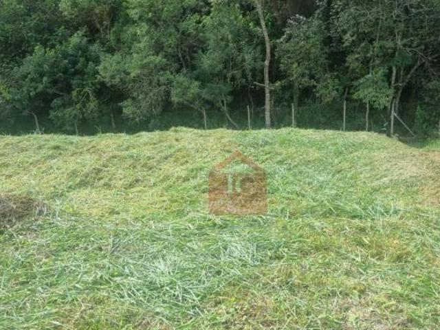Terreno à venda, 518 m² por R$ 215.000,00 Reserva Samambaia II Cotia/SP