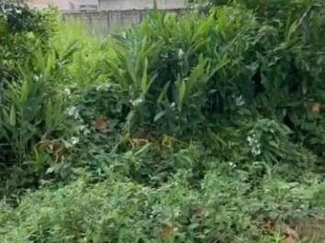 Terreno à venda, 520 m² por R$ 200.000,00 Balneário Gaivota Itanhaém/SP