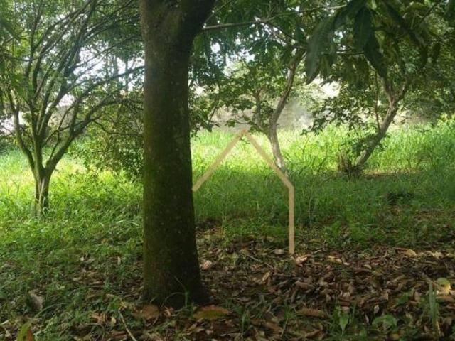 Terreno à venda, 522 m² por R$ 450.000,00 Praia dos Namorados Americana/SP