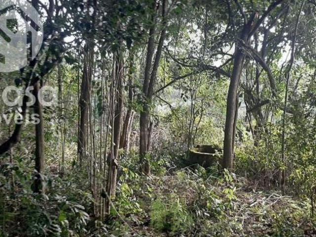 Terreno à venda, 539 m² por R$ 140.000,00 Vila Imperial Gravataí/RS