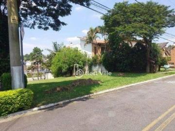 Avenida Yojiro Takaoka, Alphaville, Santana de Parnaíba, Barueri, São Paulo