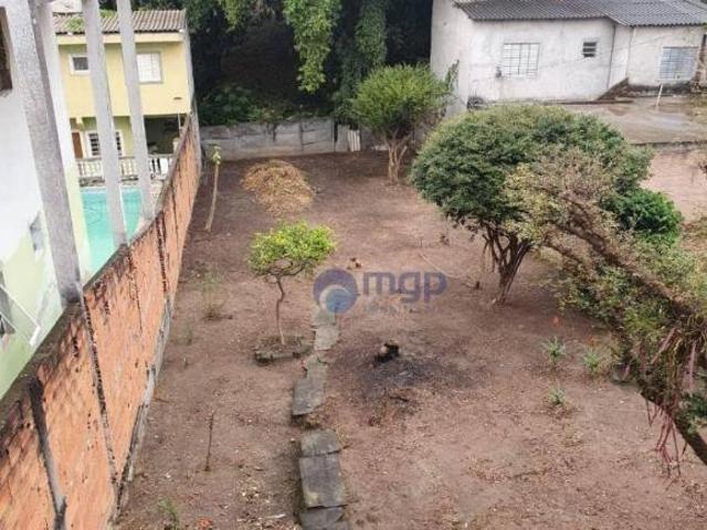 Terreno à venda, 540 m² por R$ 1.300.000,00 Vila Gustavo São Paulo/SP