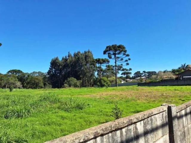 Terreno à venda, 5544 m² por R$ 3.990.000 Umbará Curitiba/PR
