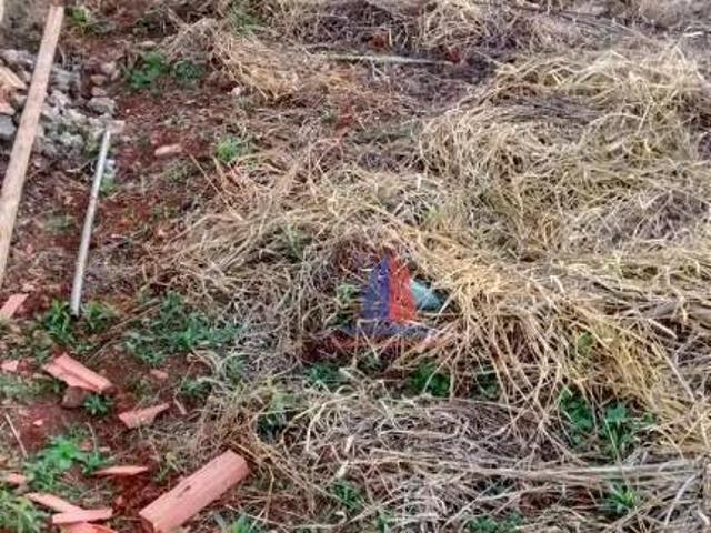 Terreno à venda, 562 m² por R$ 440.000,00 Jardim Bela Vista Americana/SP