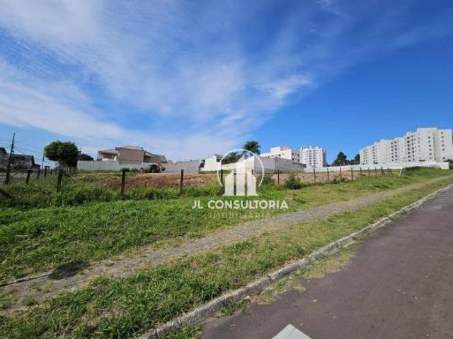 Terreno à venda, 563 m² por R$ 590.000,00 Rio Pequeno São José dos Pinhais/PR