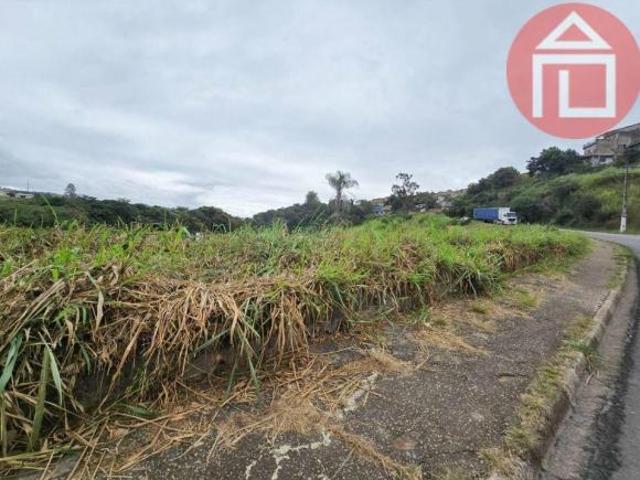 Terreno à venda, 584 m² por R$ 876.000,00 Jardim Morumbi Bragança Paulista/SP