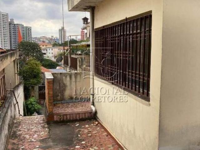Terreno à venda, 5 quartos, 2 vagas, Vila Floresta Santo André/SP