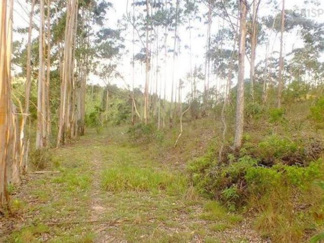 Terreno à venda, 6000 m² por R$ 160.000,00 Bom Jardim De Minas Bom Jardim de Minas/MG
