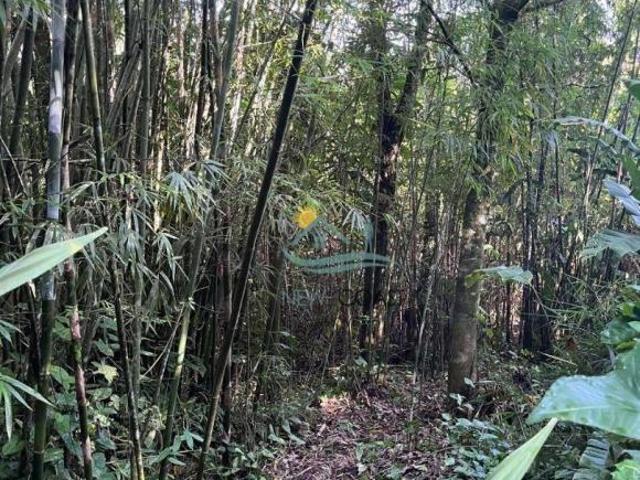 Terreno à venda, 600 m² por R$ 300.000,00 Boiçucanga São Sebastião/SP