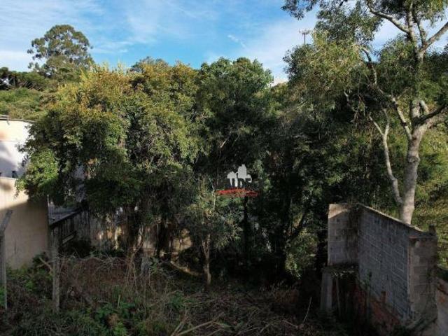 Terreno à venda no bairro Barigui