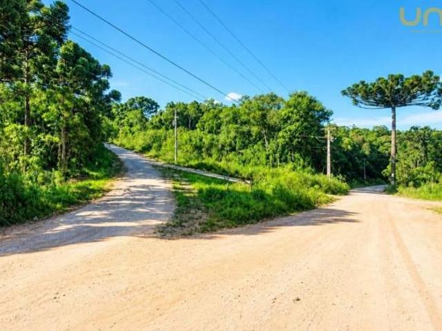 Terreno à venda, 63640 m² por R$ 346.000,00 Belle Vie Bocaiúva do Sul/PR