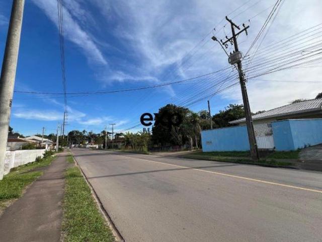 Terreno a venda 6.500,00m2 Barro Preto Sao Jose dos Pinhais