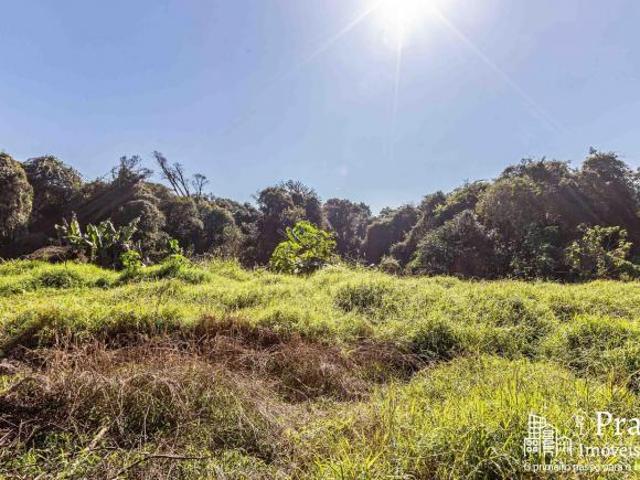 Terreno à venda, 6.972 m² privativos Del Rey, São José dos Pinhais, PR
