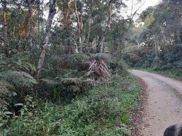 Terreno à venda, 7000 m² por R$ 250.000,00 Taquacetuba São Bernardo do Campo/SP