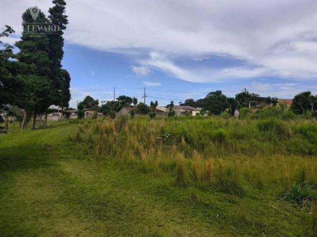 Terreno à venda, 7294 m² por R$ 2.100.000,00 Campo Largo da Roseira São José dos Pinhais/PR