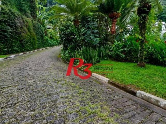 Terreno à venda, 805 m² por R$ 1.999.000,00 Morro Santa Terezinha Santos/SP