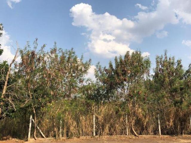 Terreno à venda, 9000 m² por R$ 7.200.000,00 Chácara Machadinho II Americana/SP