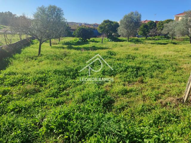 Terreno à venda – 900m² de tranquilidade e oportunidades