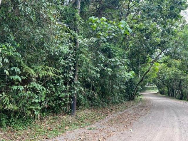 Terreno à venda, 9550 m² por R$ 500.000,00 Batistini São Bernardo do Campo/SP