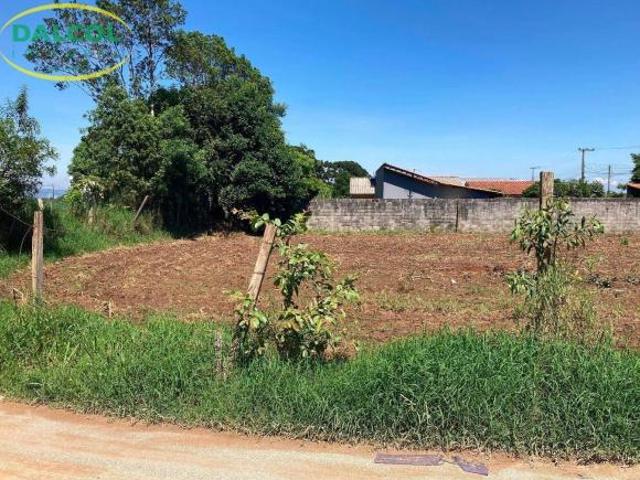Terreno à venda, 957 m² por R$ 750.000,00 Jardim Emília Campo Largo/PR