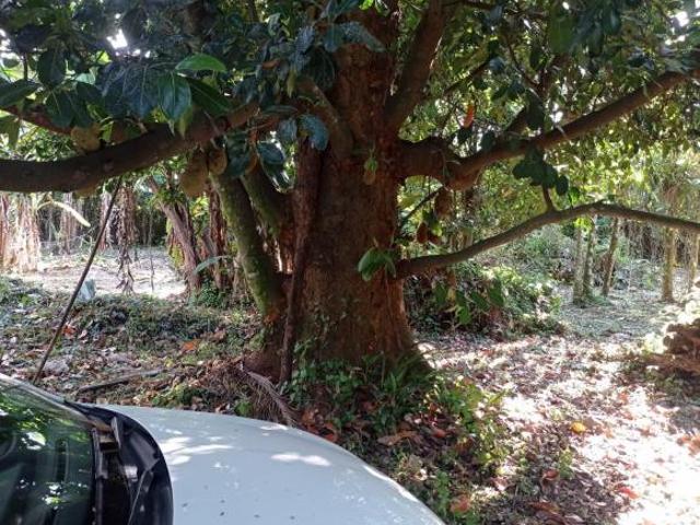 TERRENO À VENDA COM LINDA VISTA PARA MONTANHAS NO