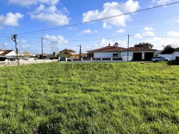 Terreno à Venda com 1.370 m² | Rua do Estreito, Coimbrão Leiria