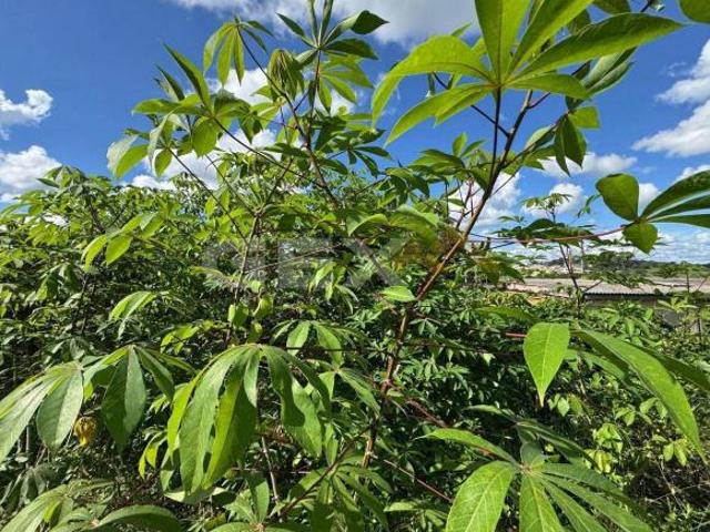 Terreno à Venda com 288m² em Ermida MG
