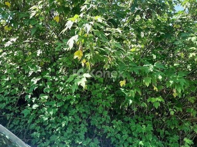 Terreno à venda com 297 m² em Santa Inês, Caieiras