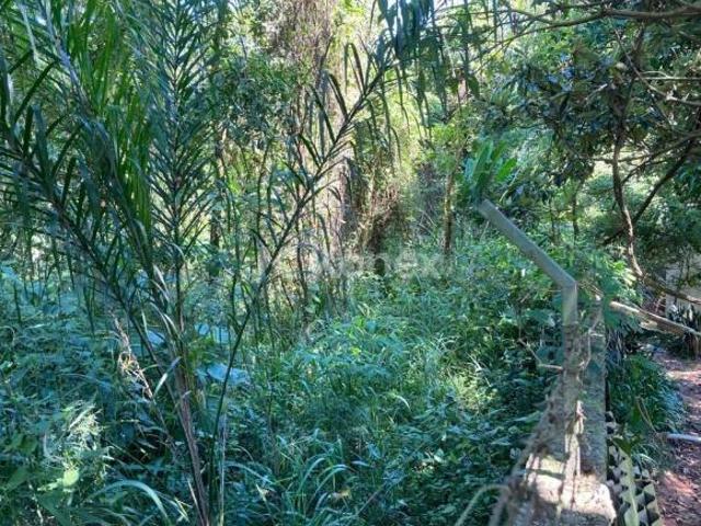Terreno à venda com 4000 m² em Vila Irmãos Arnoni, São Paulo