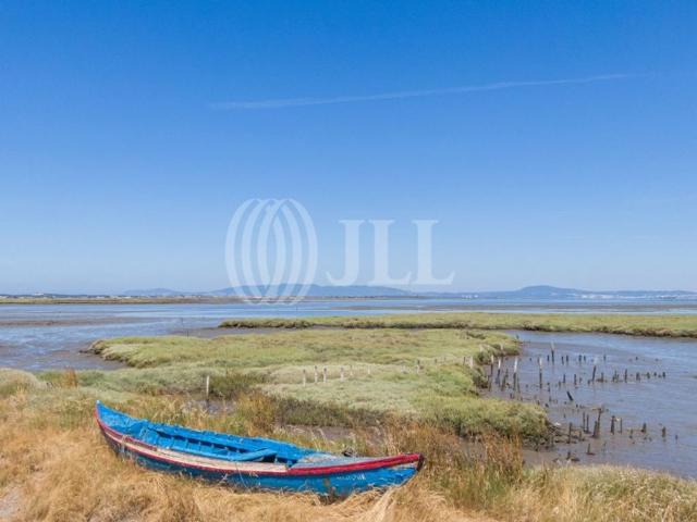 Terreno à venda Comporta, Alcácer do Sal, Setúbal