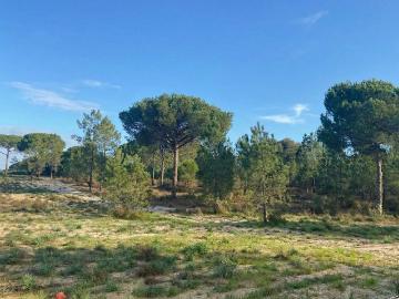 Terreno à venda Comporta, Setúbal