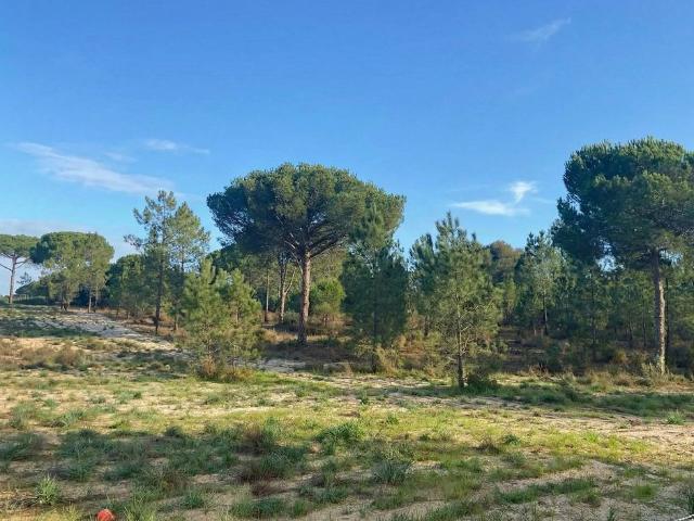 Terreno à venda Comporta, Setúbal