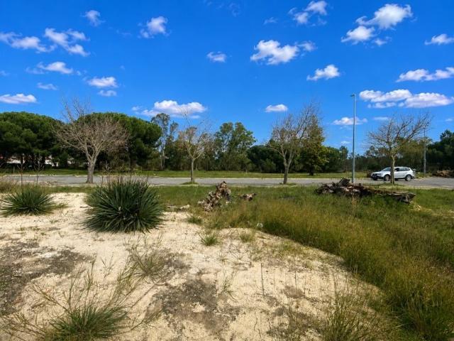 Terreno à venda Comporta, Setúbal
